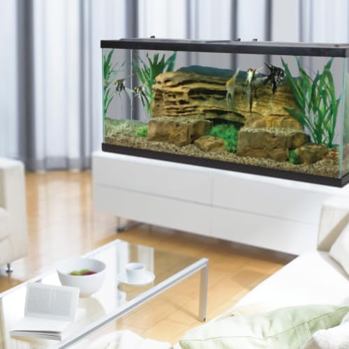 Tetra 55 Gallon Glass Aquarium wide angle view