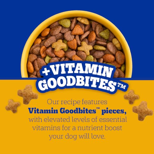 Pedigree dry dog food branding and packaging