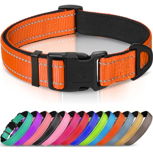 Joytale Reflective Dog Collar Orange Large front view