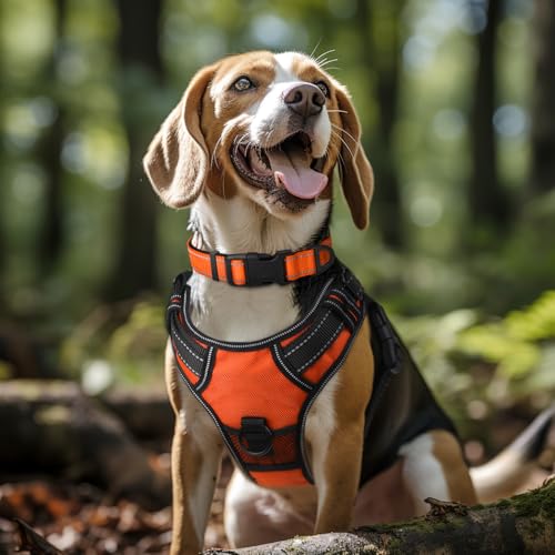 Close up of Joytale orange dog collar metal D-ring