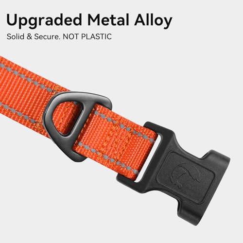 Soft neoprene padding on Joytale collar interior