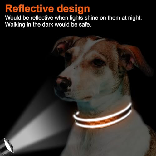 Reflective stitching on orange Joytale dog collar
