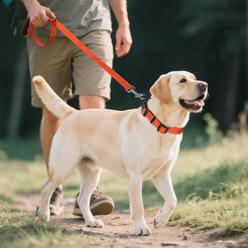 Adjustable nylon strap of Joytale dog collar