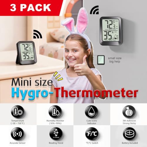 AyayaBoss thermometer with digital display