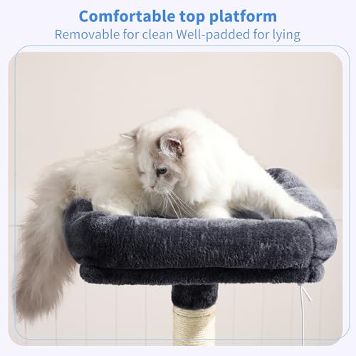 Heybly cat tower top perch view