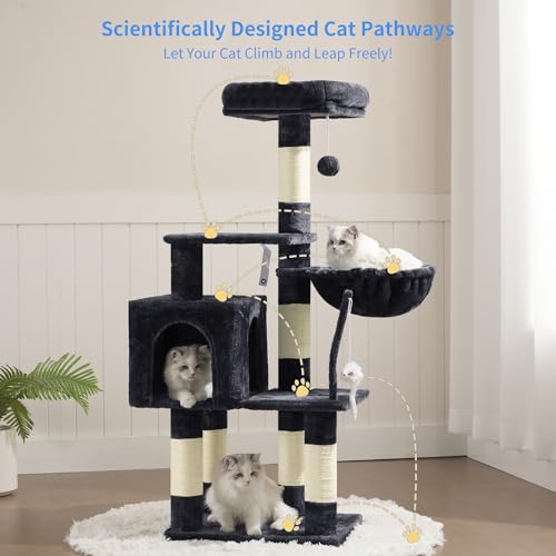 Cat playing with dangling toy