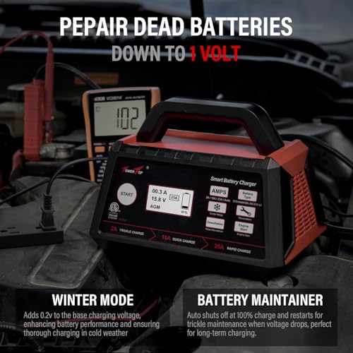 TowerTop 12V maintainer with battery cables