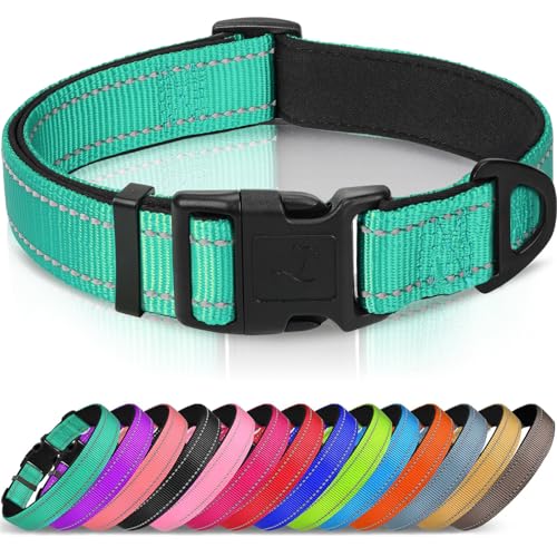 Joytale Reflective Dog Collar Teal Large view