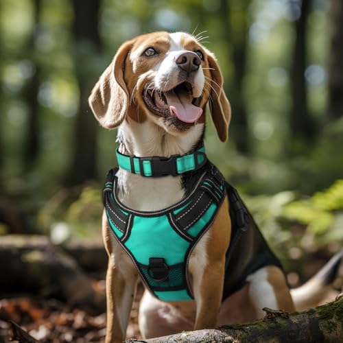 Close up of Joytale collar neoprene padding