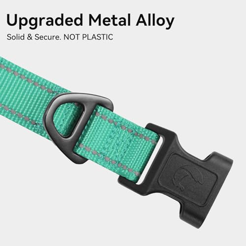 Joytale collar metal D-ring detail