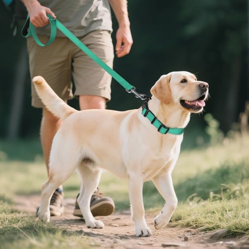 Joytale Reflective Dog Collar adjustable strap