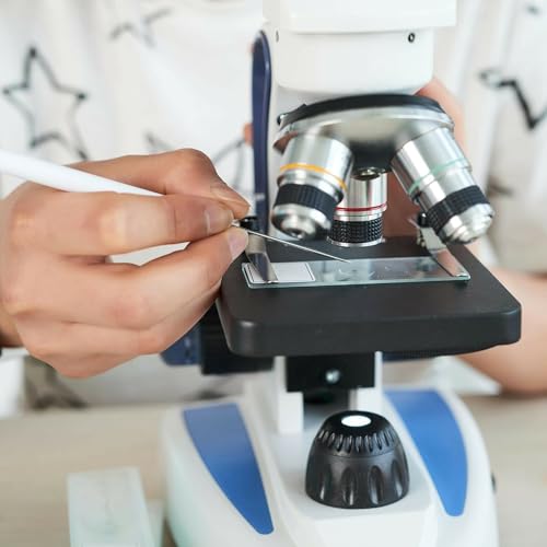 AmScope M158C-2L-E1 Digital Microscope