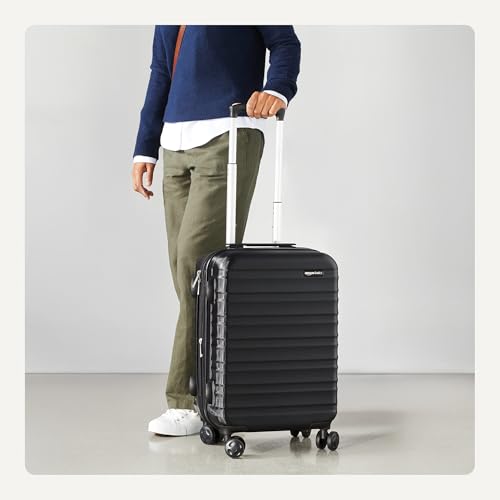 Interior view of Basics carry-on with organizational dividers