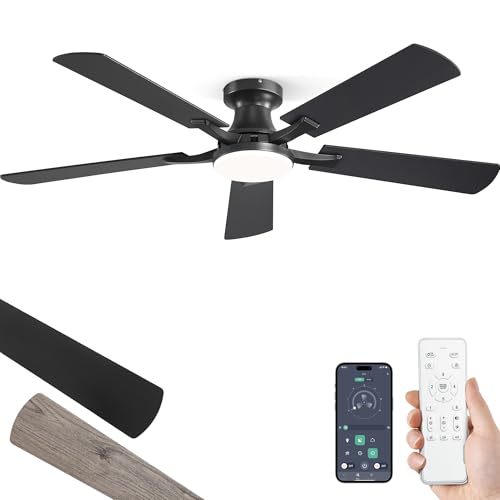 ZMISHIBO 52 Inch Ceiling Fan BJ52 front view