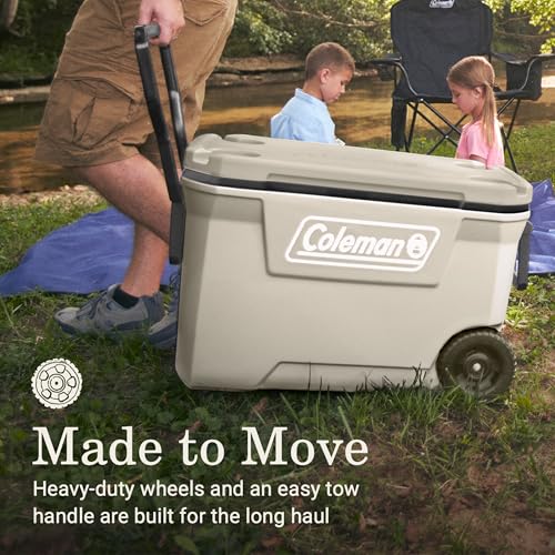 Top view of Coleman cooler lid with cup holders