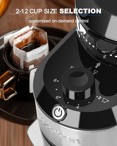 Black burr grinder with collection container