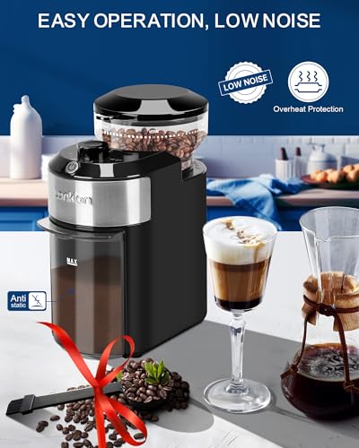 Compact burr grinder side profile