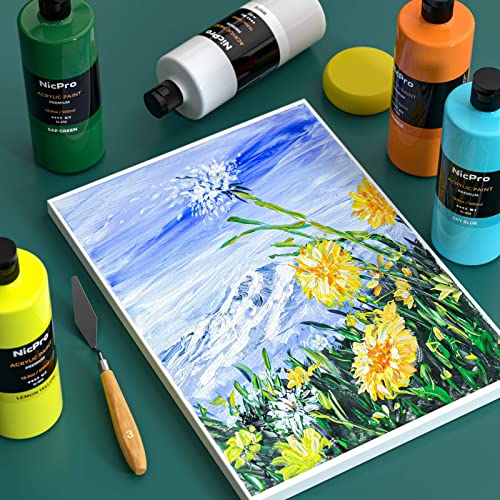 Nicpro paint set packaging and accessories