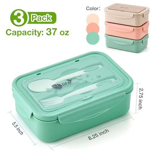 Bento box with spoon and fork