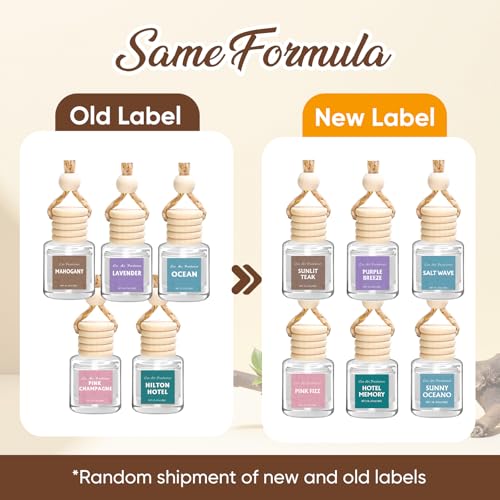 Six pack AROIC car fragrance set