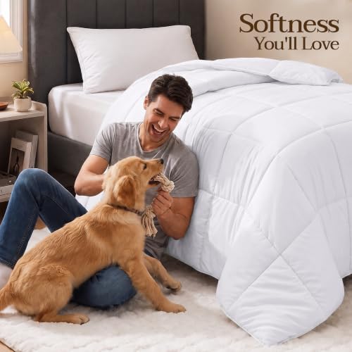 Comforter on twin bed frame