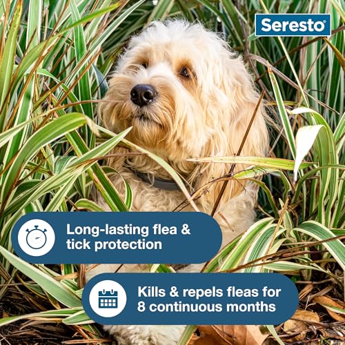 Side view of Seresto small dog collar