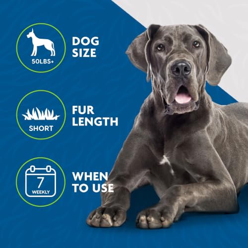 Grooming with FURminator large short hair tool