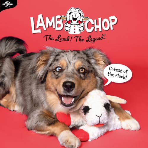 Close up of Multipet Lamb Chop soft fabric