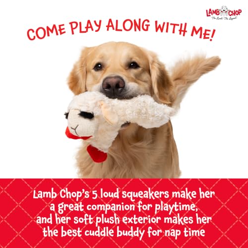 Multipet Lamb Chop toy standing