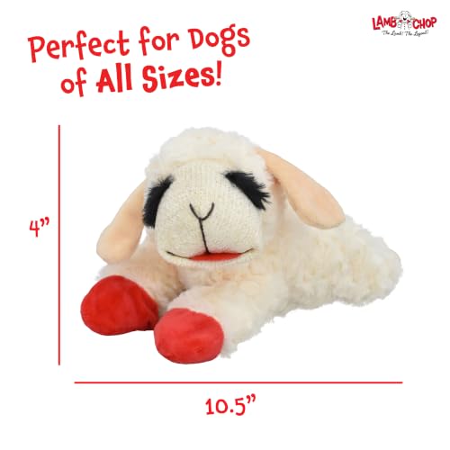 Detailed view of Lamb Chop embroidered facial features