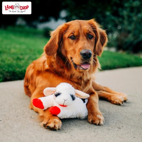 Multipet Lamb Chop plush for small dogs