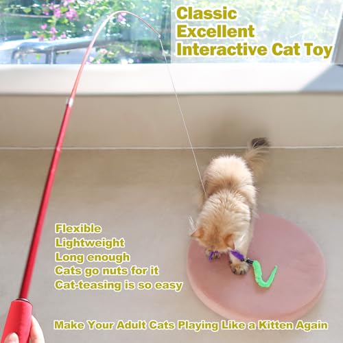 Assorted feather refills for MeoHui toy