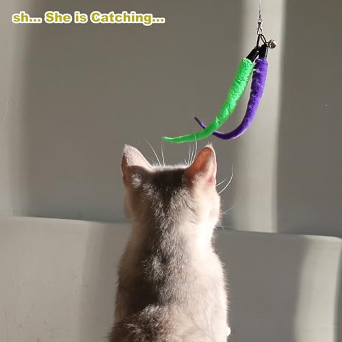 Cat chasing MeoHui feather attachment