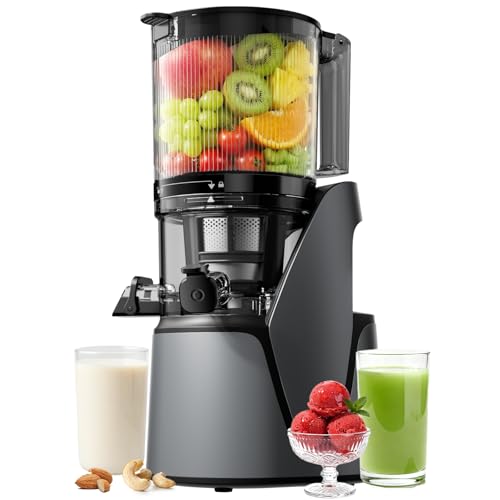 EanOruus 3-in-1 Cold Press Juicer front view