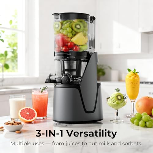 Premium gray EanOruus juicer side profile
