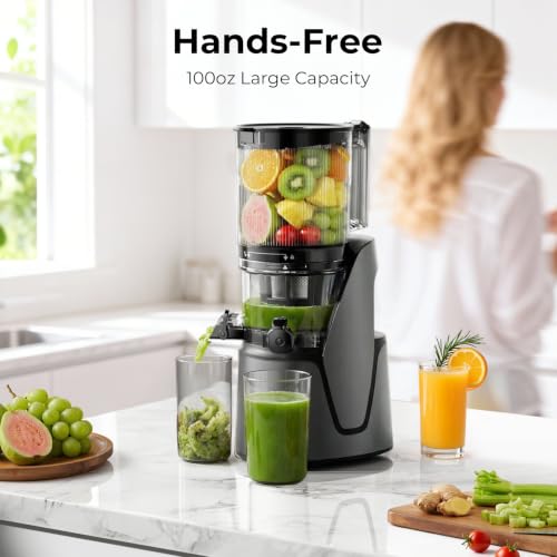 Included juice and sorbet strainers