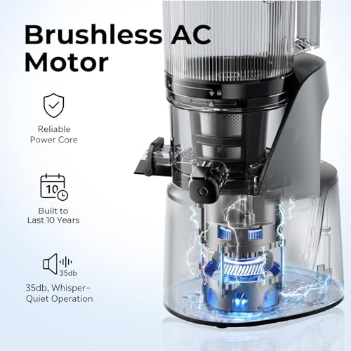 Detachable pulp outlet for easy cleaning