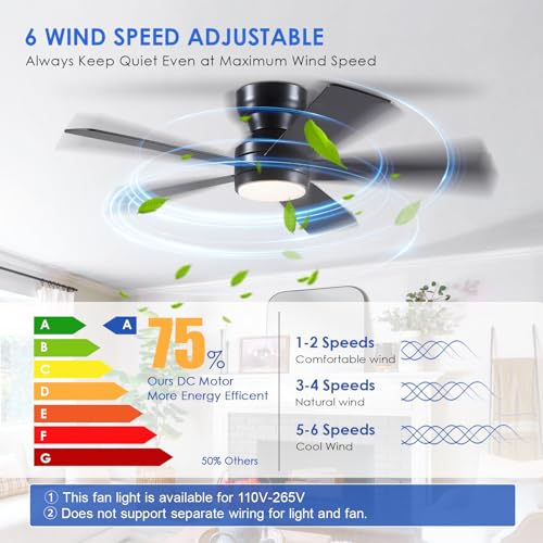 BYKISTOK fan with LED light and remote