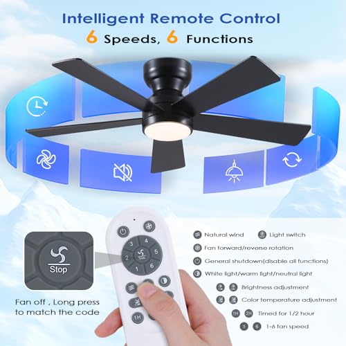 Modern matte black ceiling fan blades