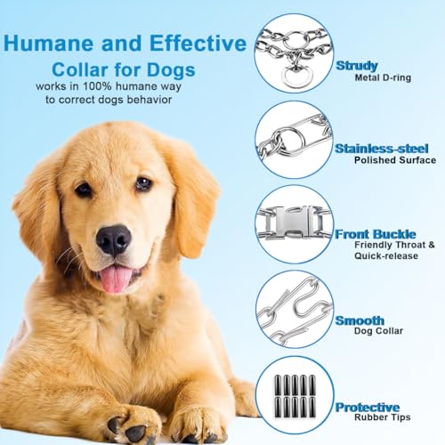 Quick release buckle on Safiman dog collar