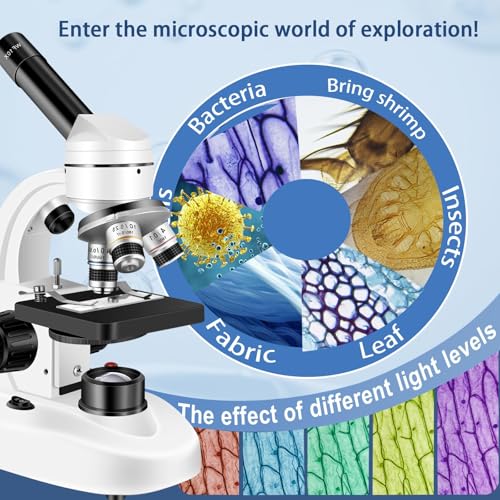 Woehrsh Microscope focusing knobs