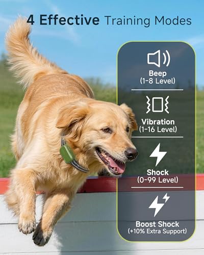 Remote control for HapTop dog training system