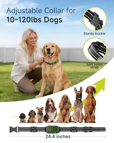 HapTop collar receiver on a dog