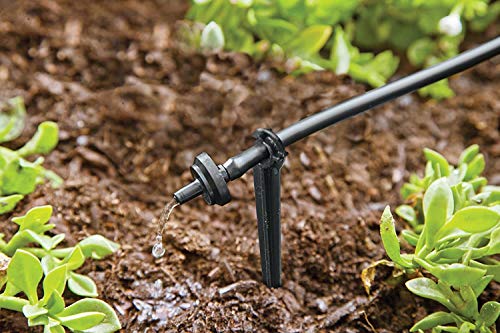 Close up of Raindrip system garden hardware