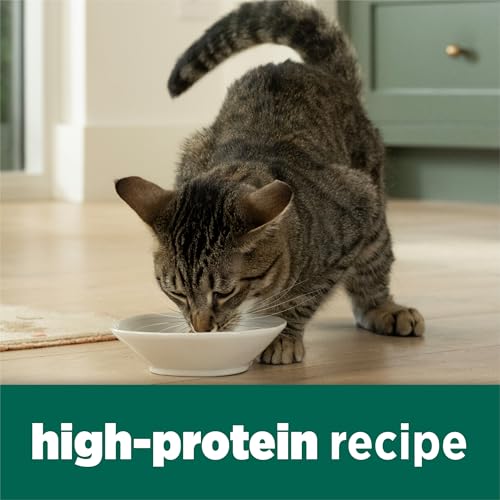 Close up of Purina Cat Chow dry food kibble
